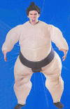 Sumo Wrestler