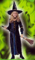 Velvet Renaissance Witch