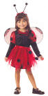 Lady Bug