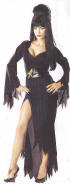 Elvira Mistress of the Dark