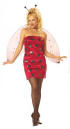 Lady Bug