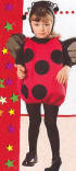 Ladybug