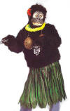 Aloha Gorilla