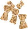 Scarecrow Straw Set