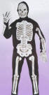 Skeletone w/EVA Plastic Bones