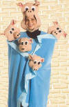 Pigs in a Blanket