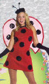 Lady Bug
