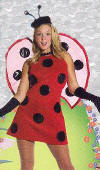 Lady Bug