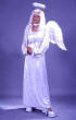 Velvet Angel of Light