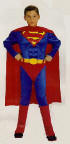 Superman (Muscle Chest)